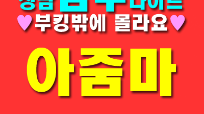 성남샴푸나이트 인기 요인은 무엇인가요?